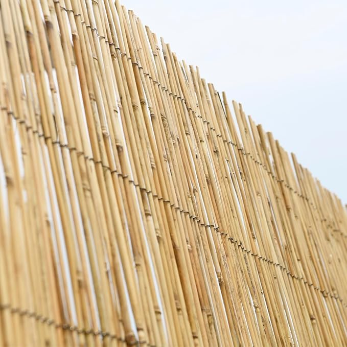 Bestla Reed Fence Screning