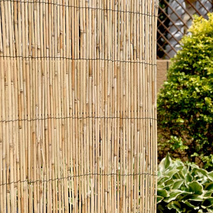 Bestla Reed Fence Screning